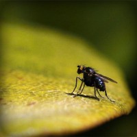 /album/ahzbph/photolia-a07-jpg/